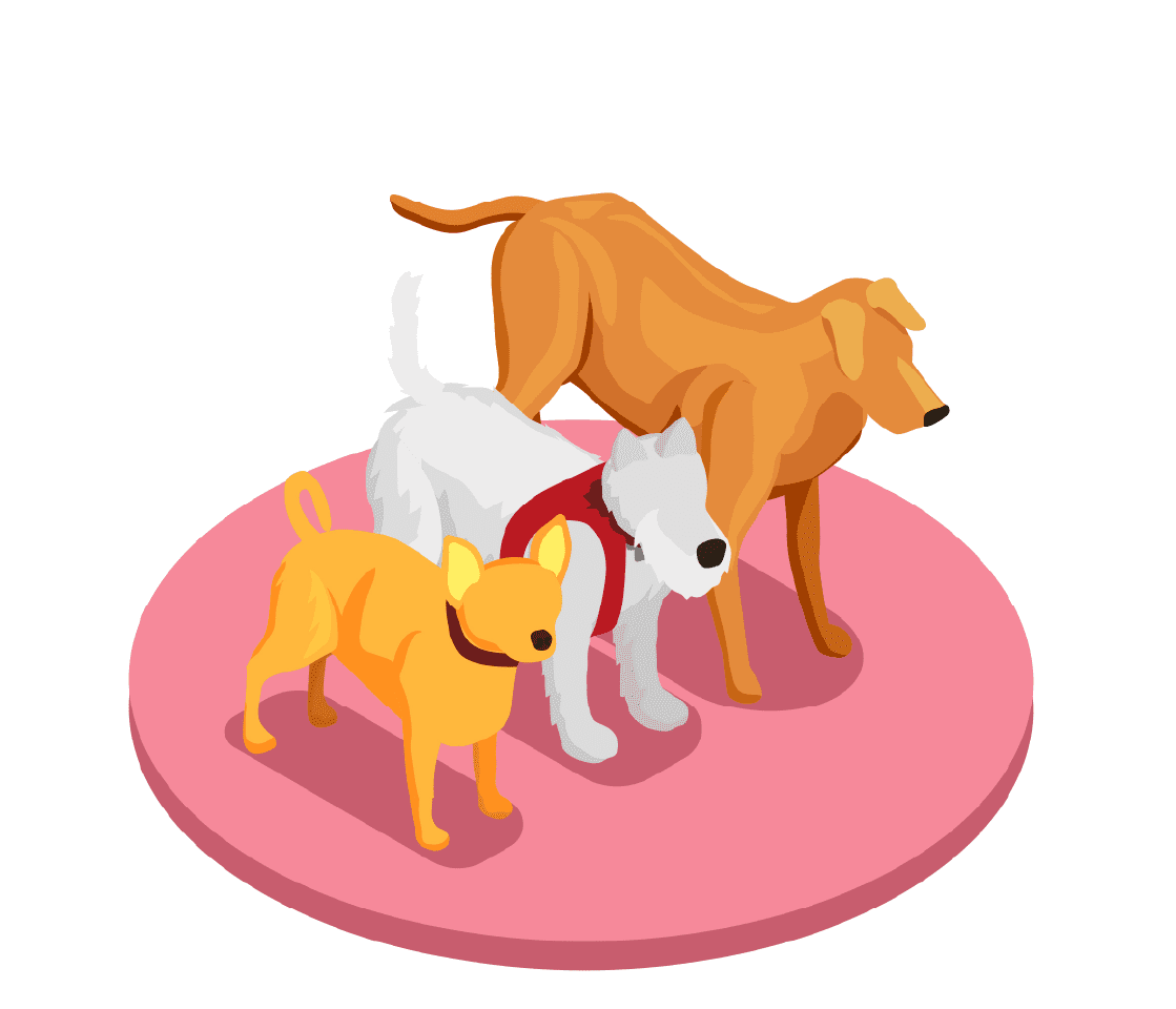 Animal dans son logement – Logis Tournaisien