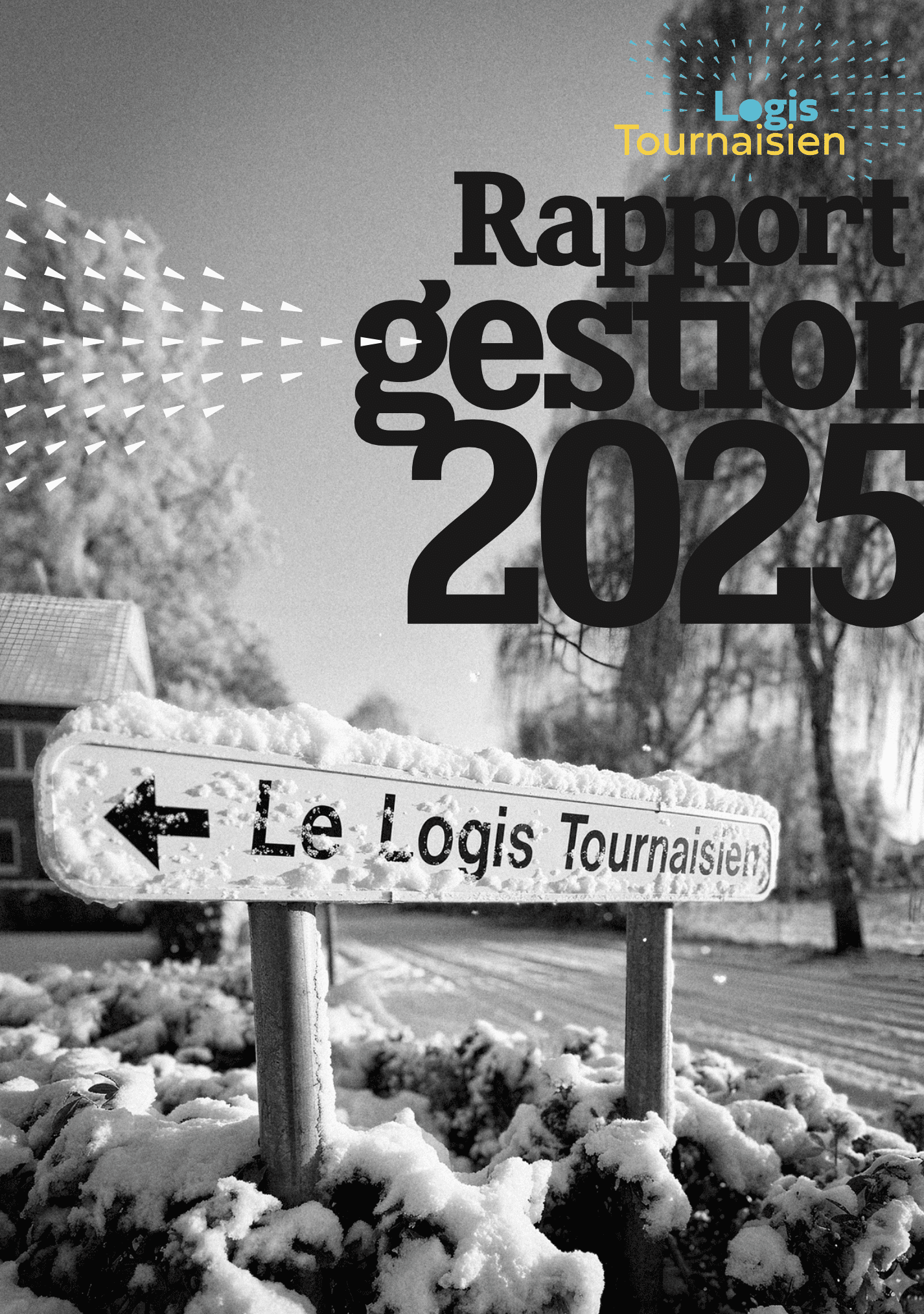 Rapport de gestion 2025